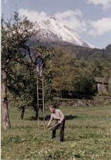 clicca sulla foto per ingrandire