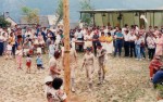 La festa del 1986 con l'albero della cuccagna - Clicca sulla foto per ingrandire